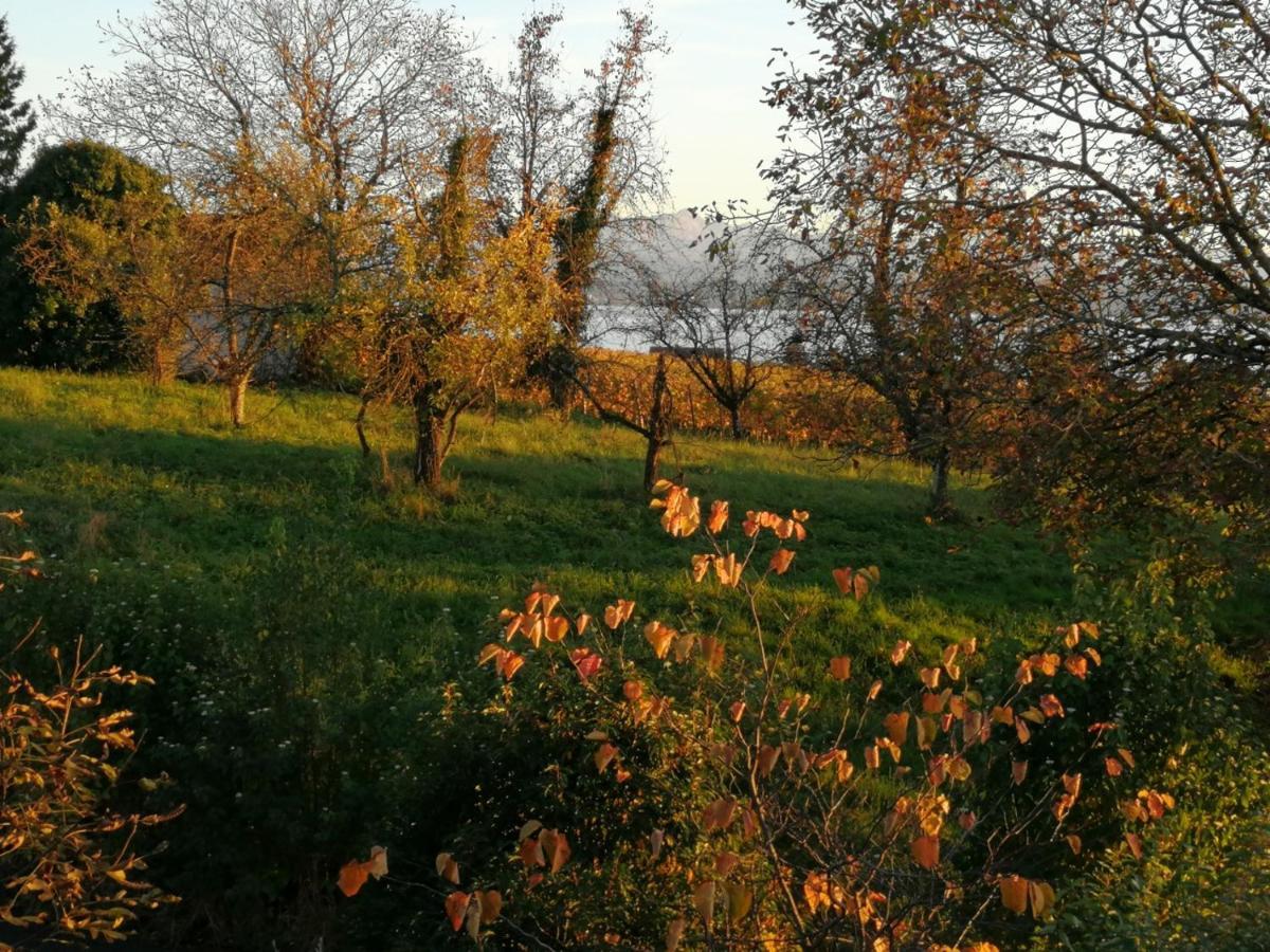 Haus Meersburg Garten Extérieur photo
