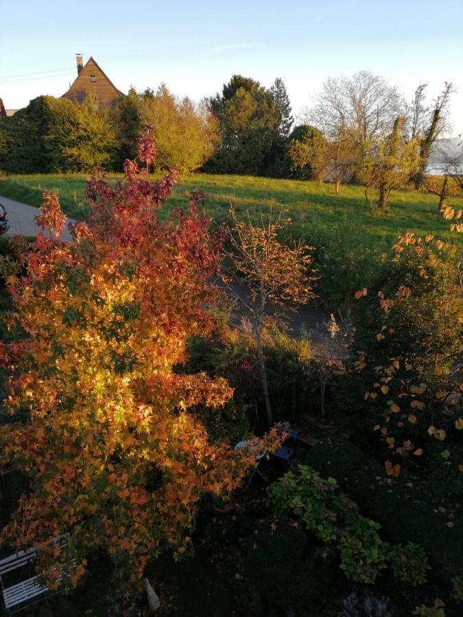 Haus Meersburg Garten Extérieur photo