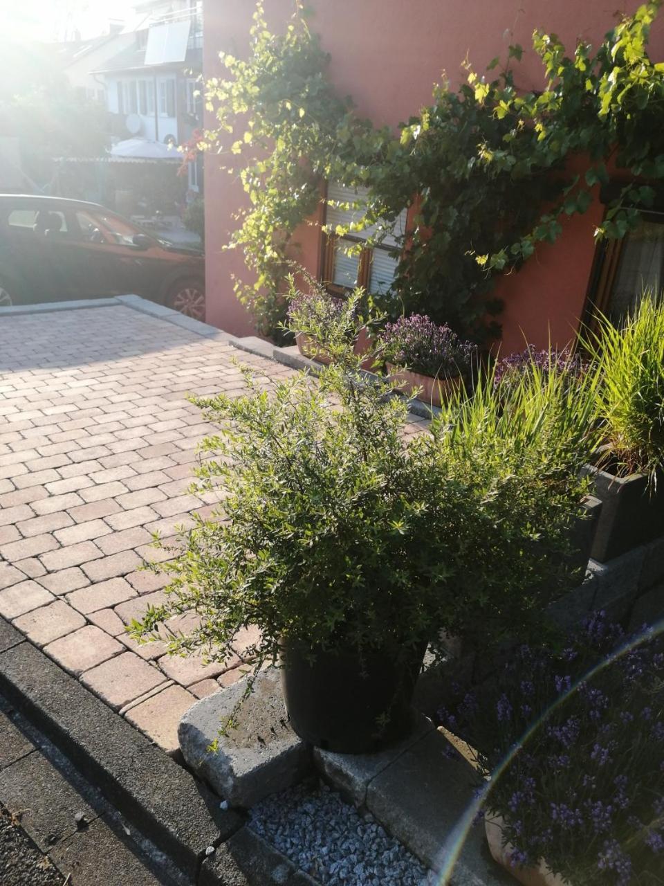 Haus Meersburg Garten Extérieur photo