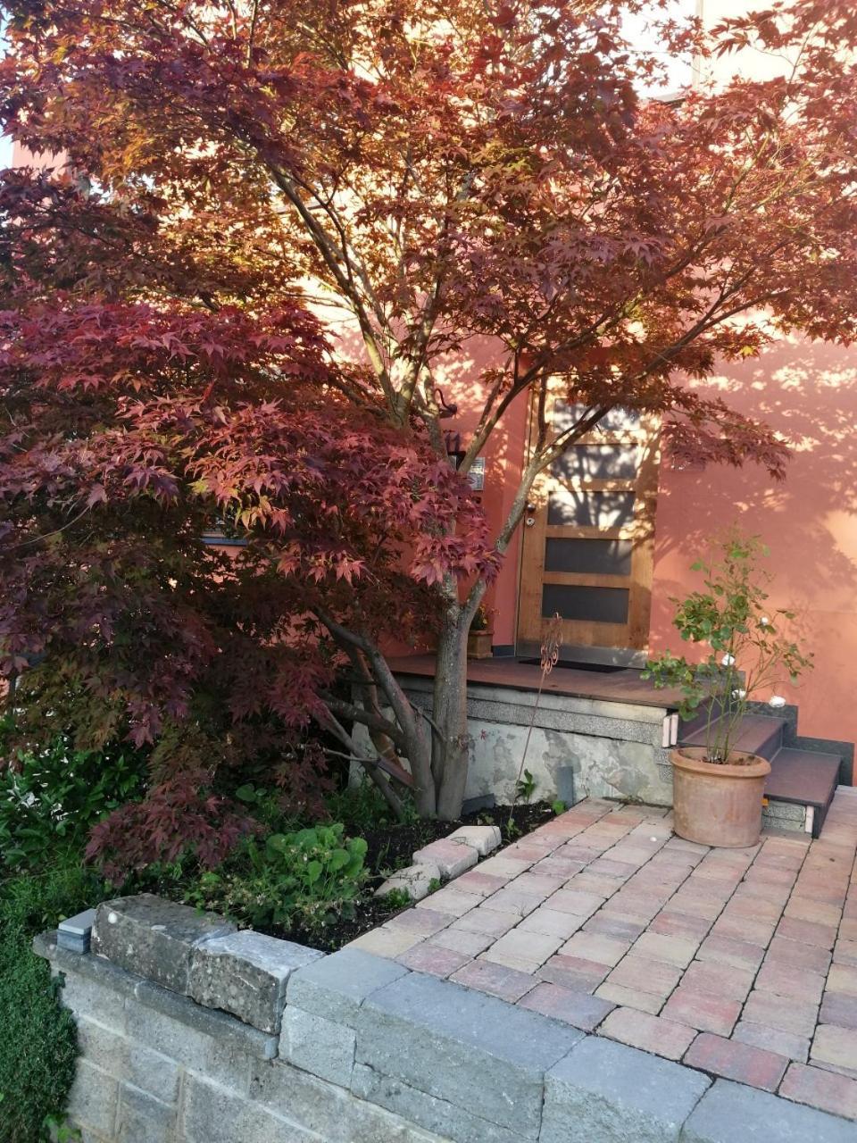 Haus Meersburg Garten Extérieur photo