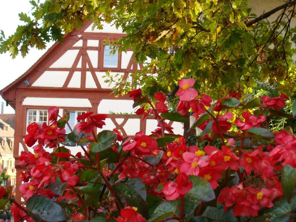 Haus Meersburg Garten Extérieur photo
